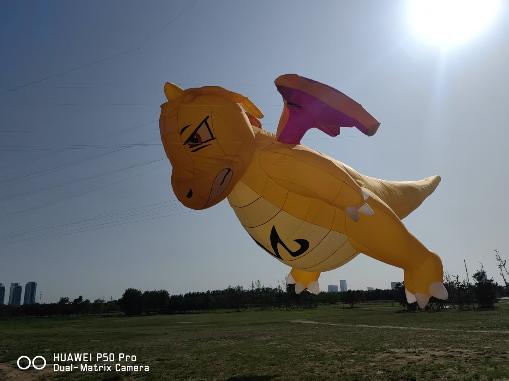 龙岩市风筝批发宣传风筝定制 - 哪里好