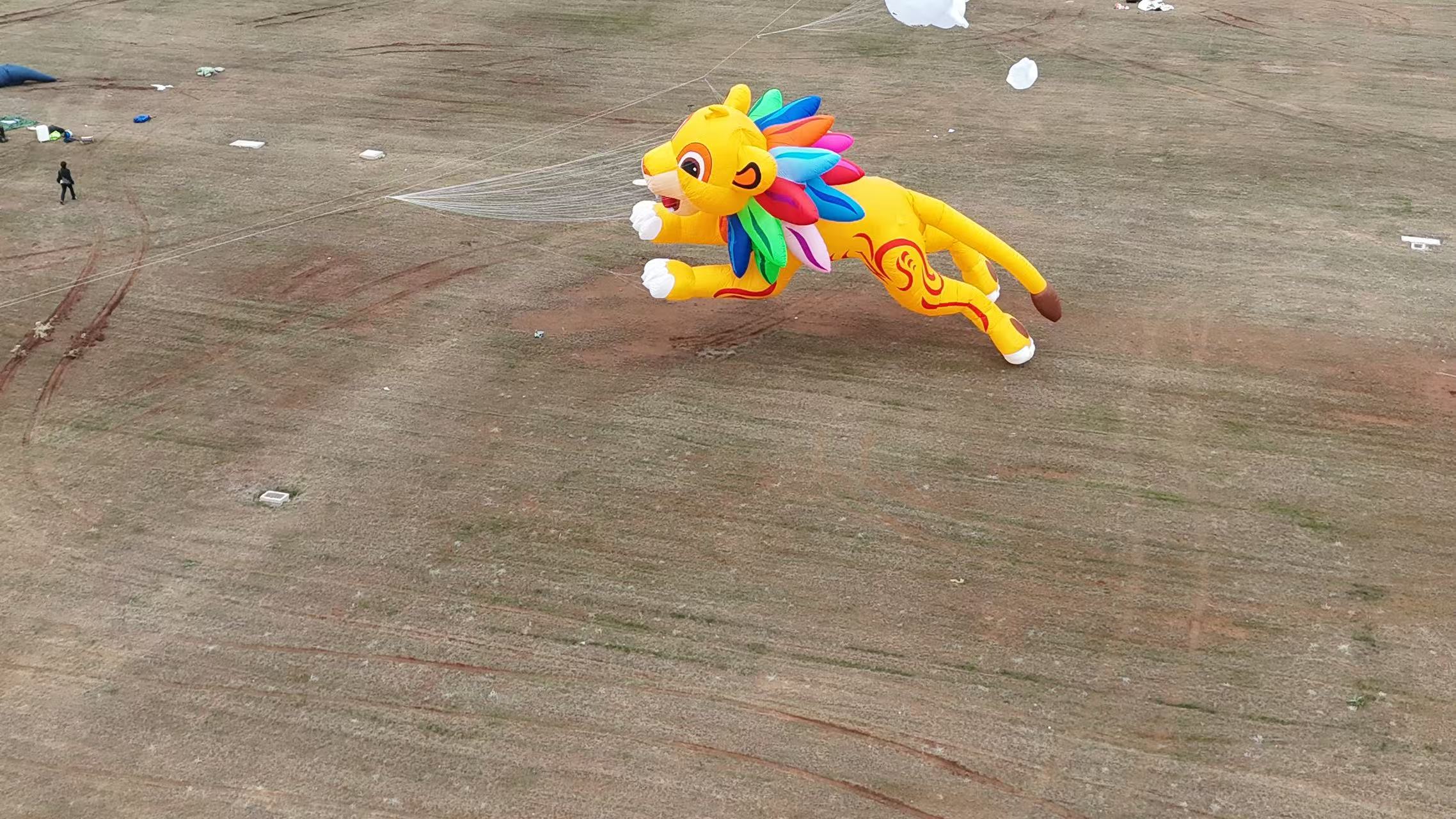龙岩市品牌风筝定制软体风筝定制 - 推荐