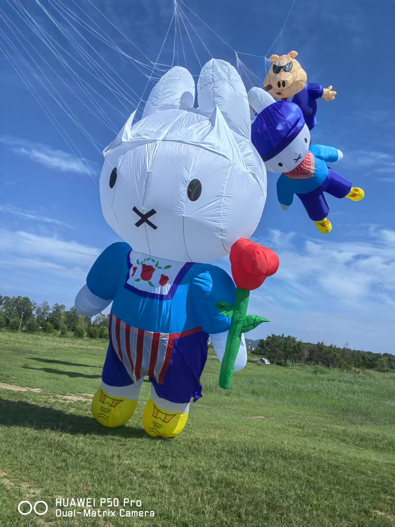 龙岩市儿童风筝定制风筝批发 - 方案