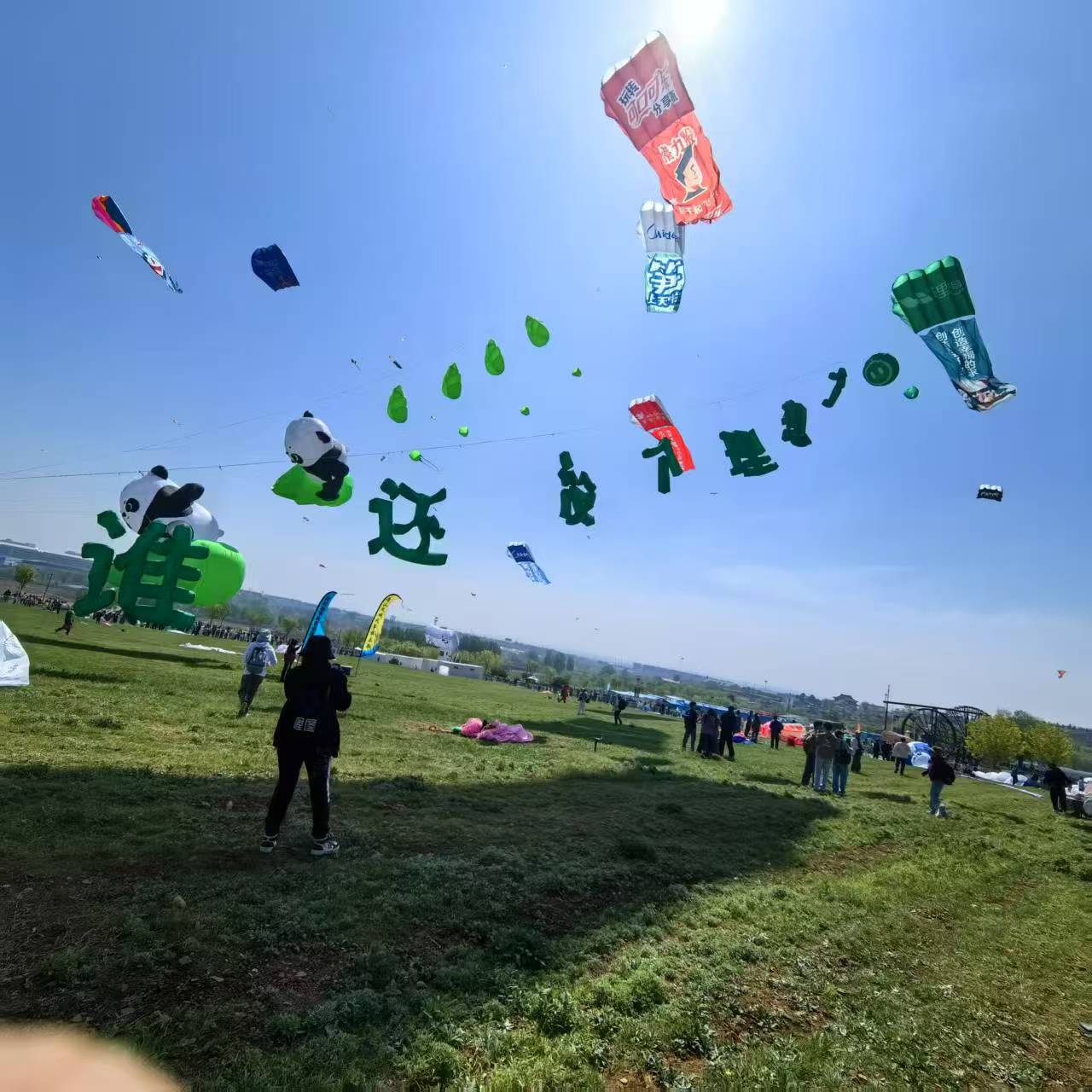 龙岩市儿童风筝定制风筝定制 - 哪里好